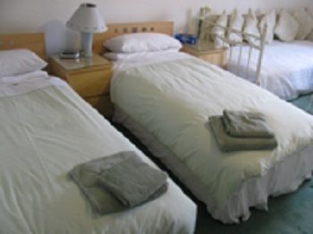 The Adelphi Bed & Breakfastニューカッスル・アポン・タイン エクステリア 写真